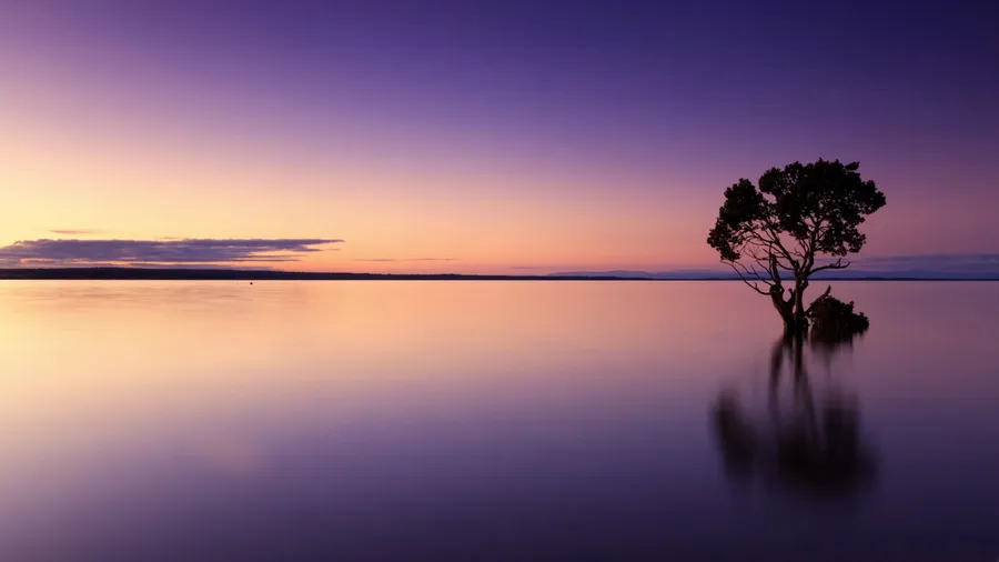 Calming Desktop