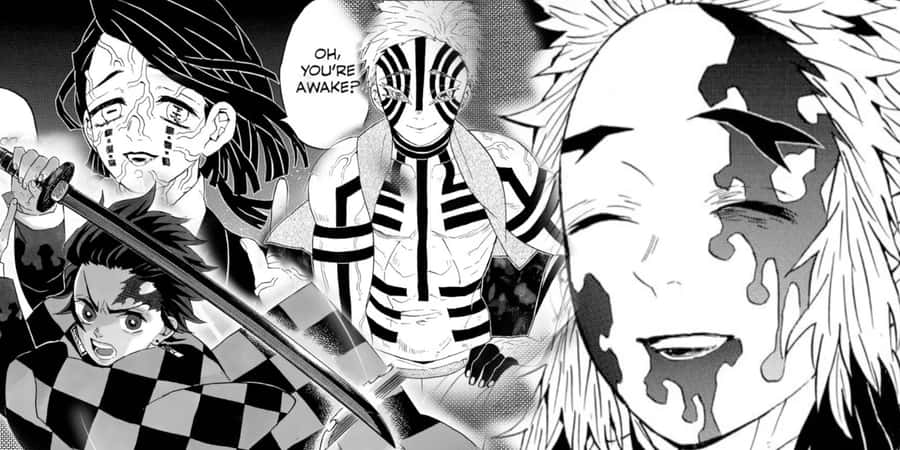 Demon Slayer Manga-Panel Erwachen