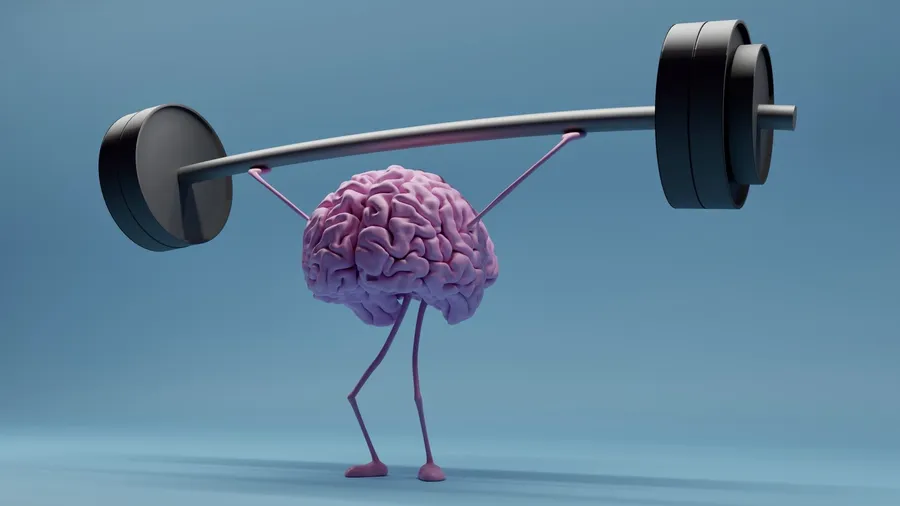 Brain [picture]