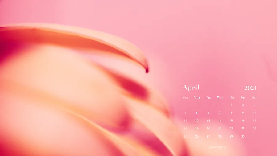2021 Calendar