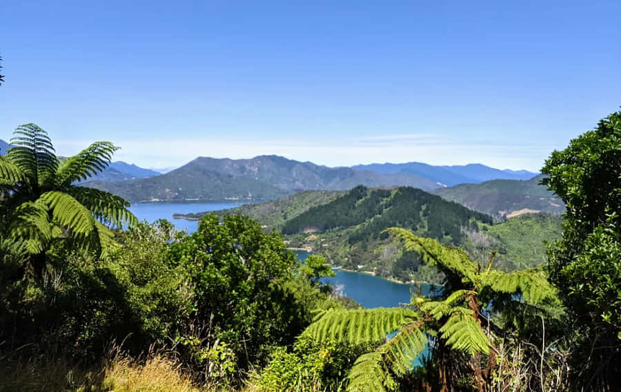Vista Cênica dos Lagos Nelson Nova Zelândia