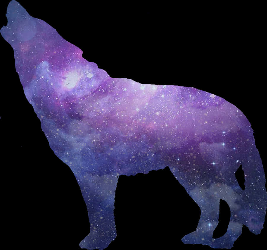Transparent Purple Tumblr Png - Wolf Tumblr Png, Png Download