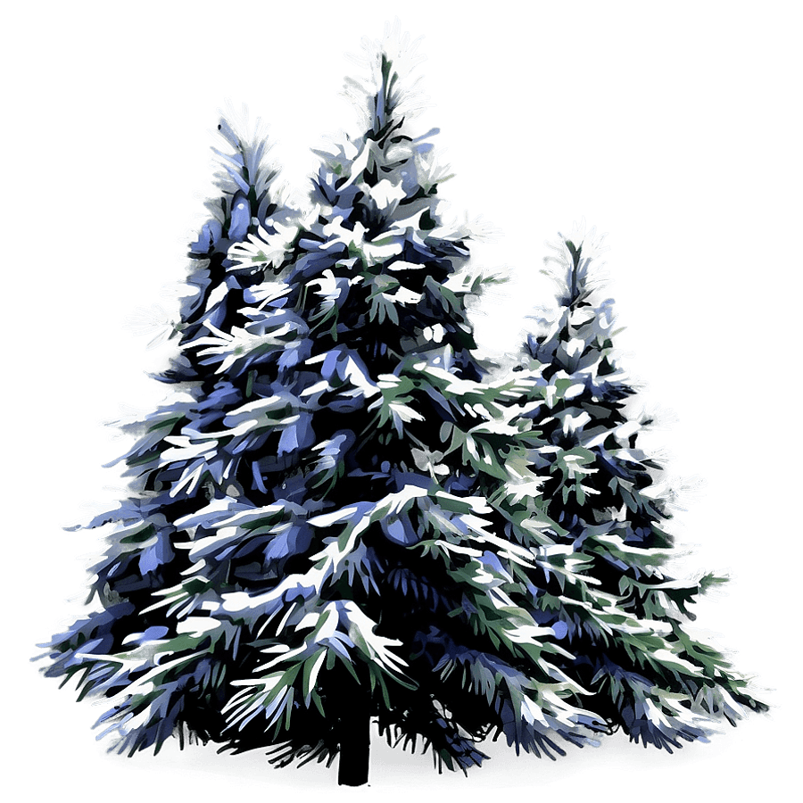 Winter Evergreen Tree PNG hou