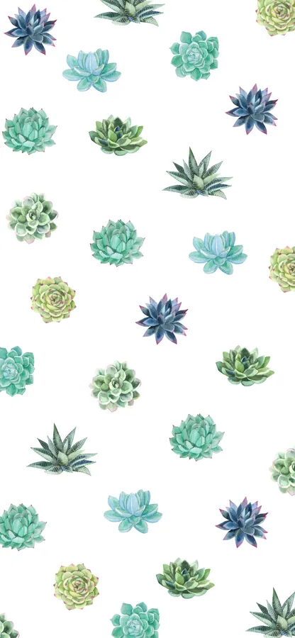 Succulent Iphone