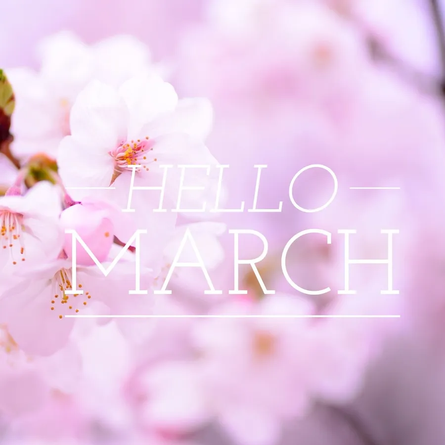Hello March