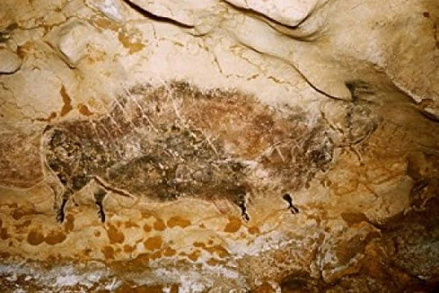 Cavernade Lascaux