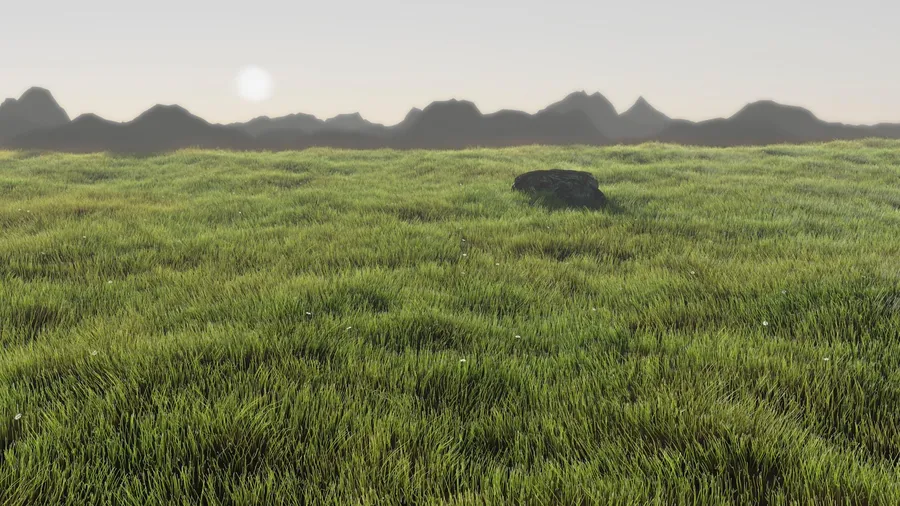 Grassy Background