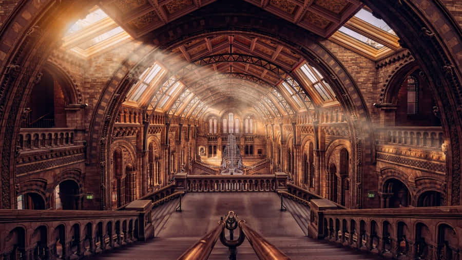 Exploreum mundo de cultura rica e história em Museus.