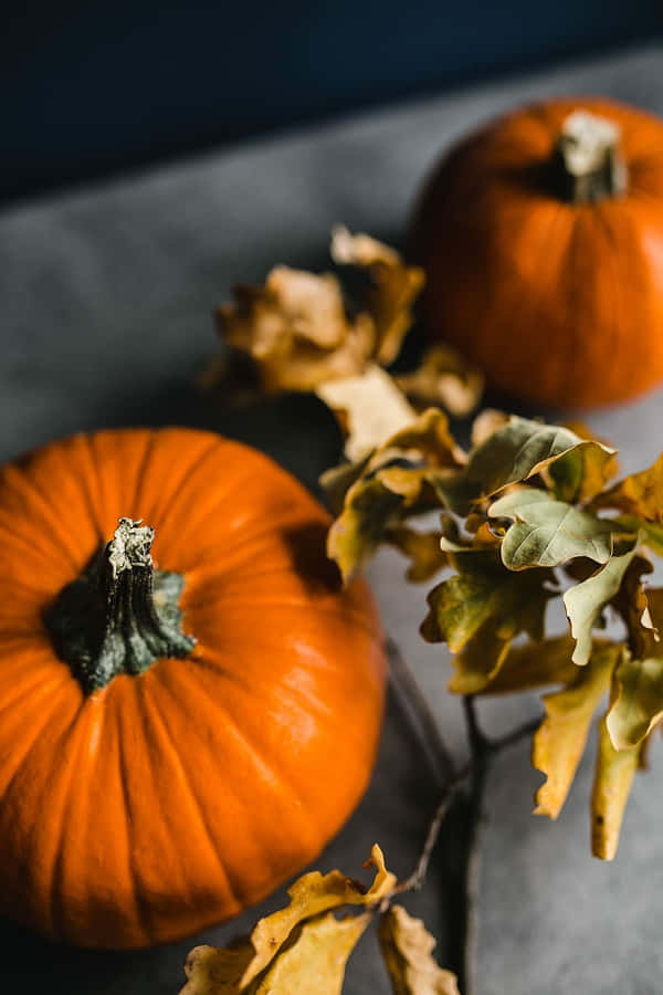 Herbstliche Kürbisse und getrocknete Blätter