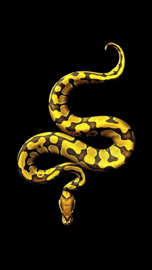 UnVibrante Serpente Giallo nella Natura