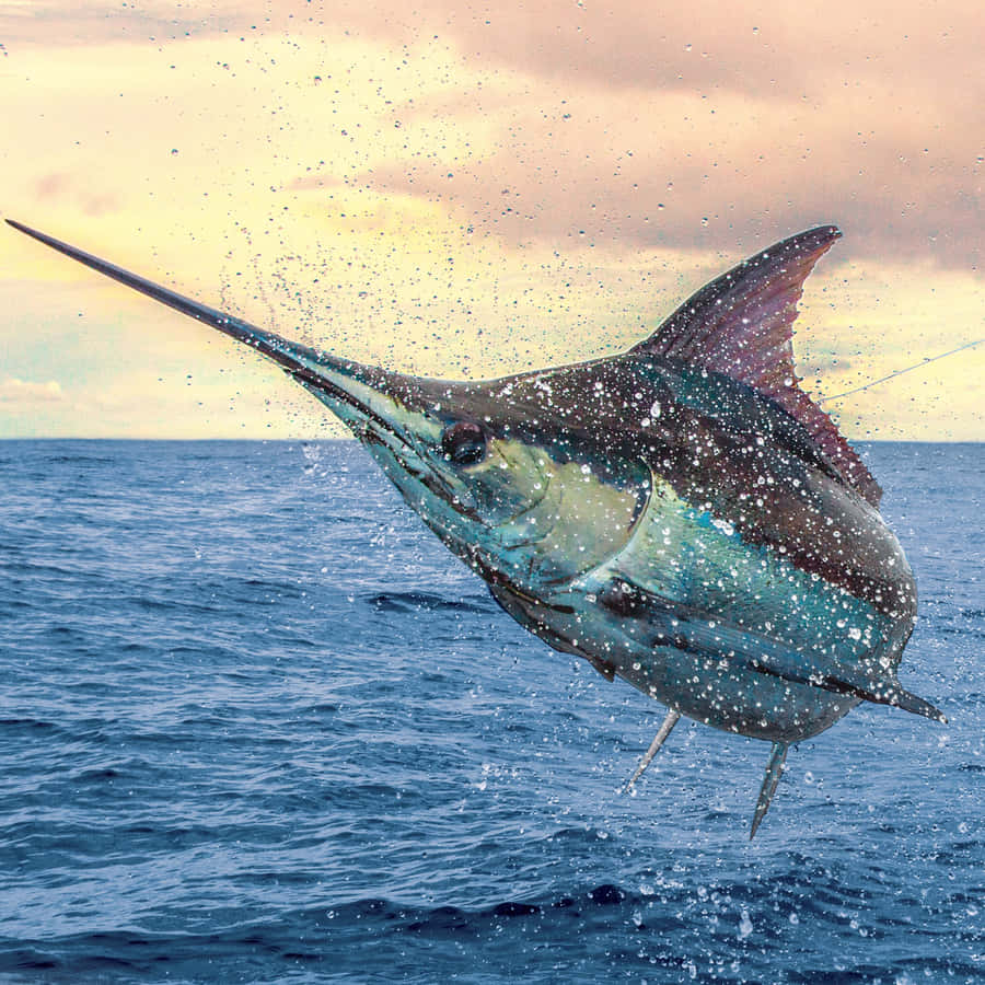 Springender blauer Marlin Meeresnebel