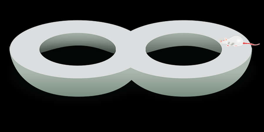 Mouse Infinity Loop Illusion