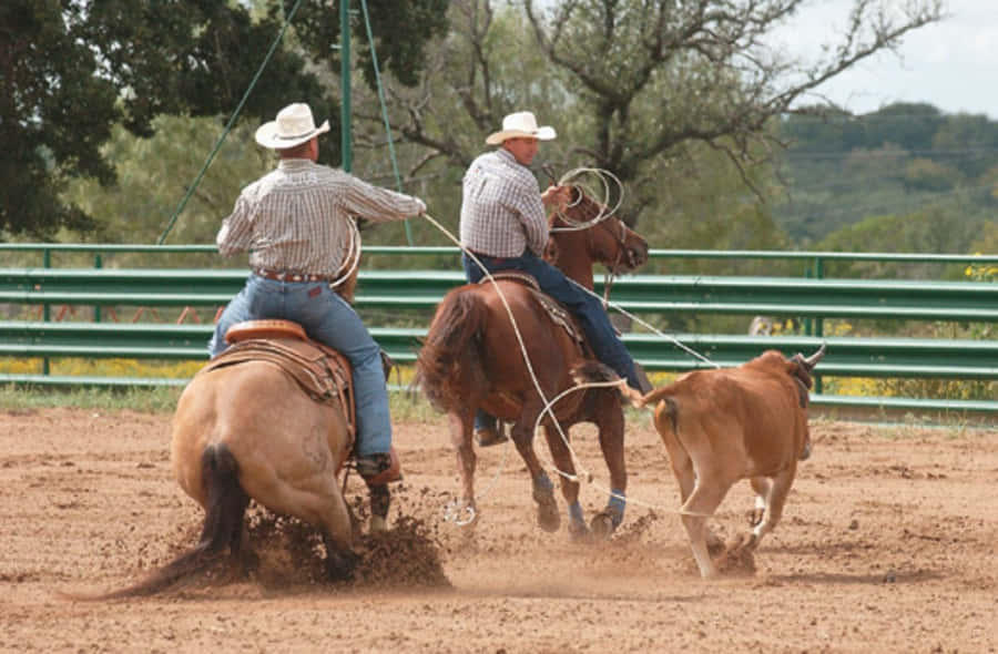 Conquisteo mundo do Roping.