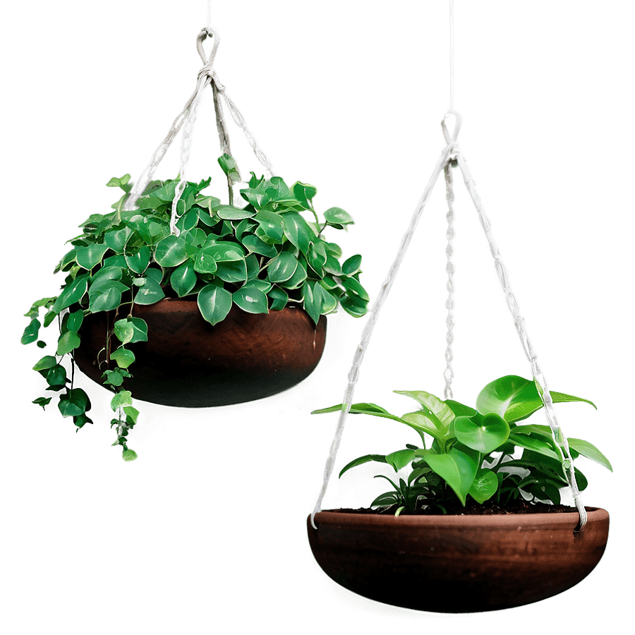 DIY Hanging Plants PNG 94