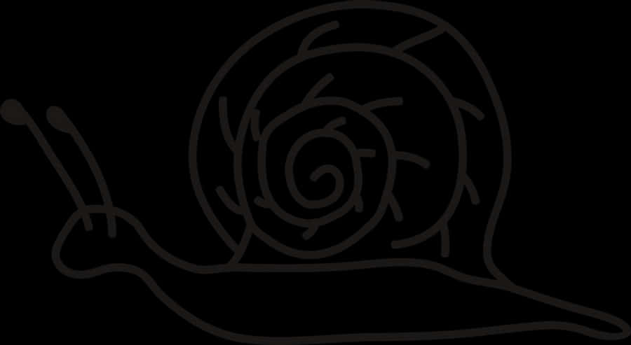 Simplified Snail Silhouette