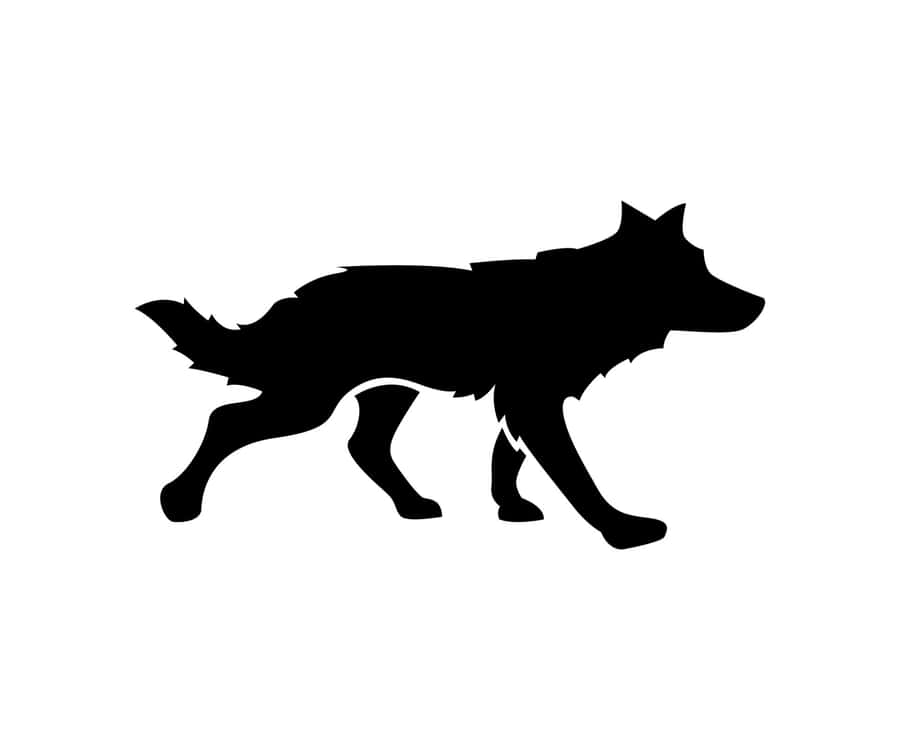 WolfSilhouette 1920 x 1600 Hintergrundbild