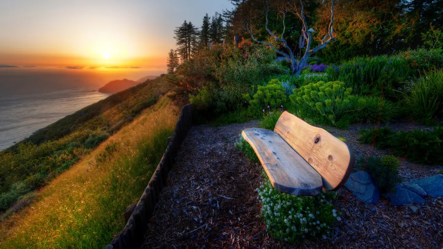 Sea Shore View wallpaper