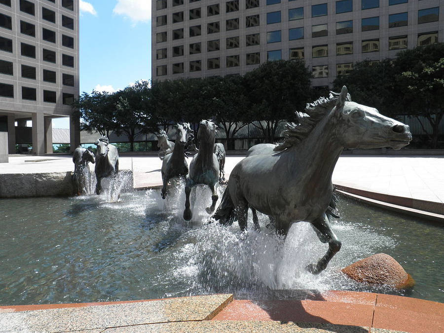 Irving Mustangs Landscape