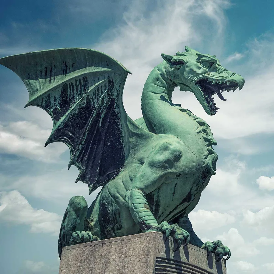 Dragon pictures