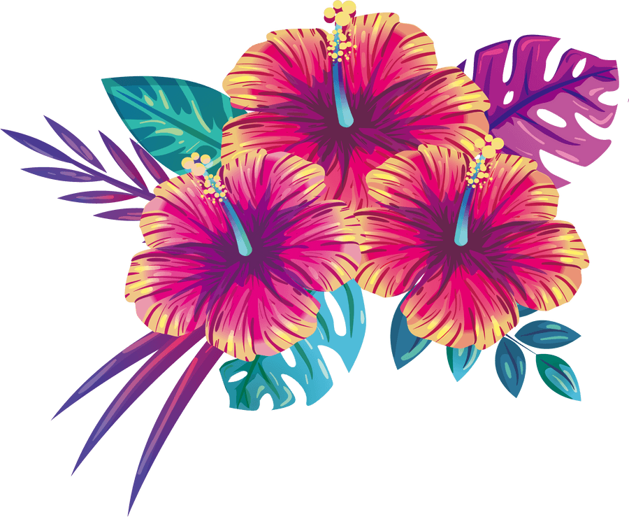 Tropical Hibiscus Floral Illustration
