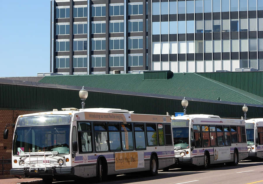 Moncton Stadtbusse vor modernem Gebäude