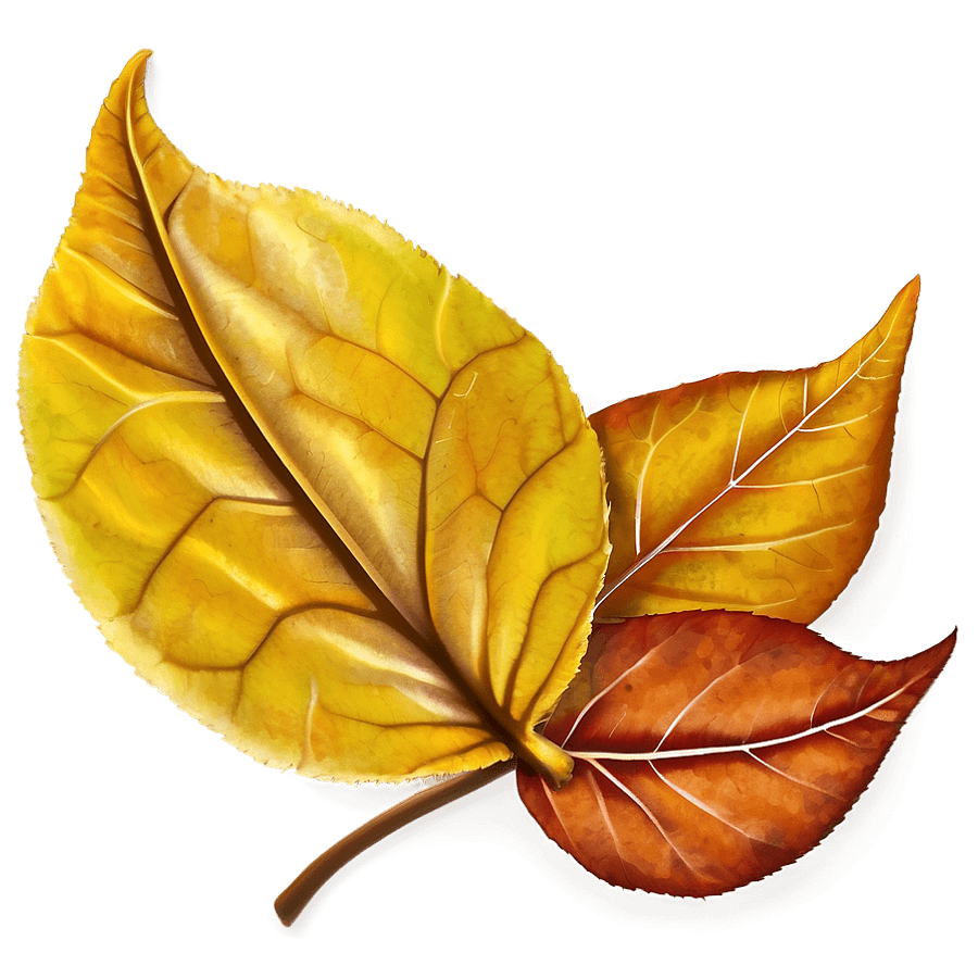 Vibrant Fallen Leaves Closeup PNG htk