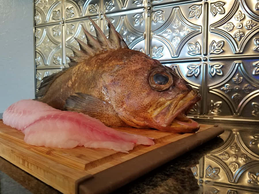 Peixe-Rochedo Quillback com Filés