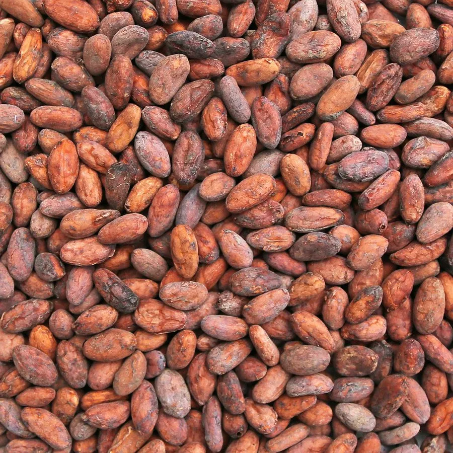 A Close-up Capture of Raw Cacao Beans