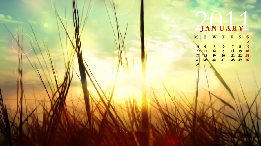 January Background