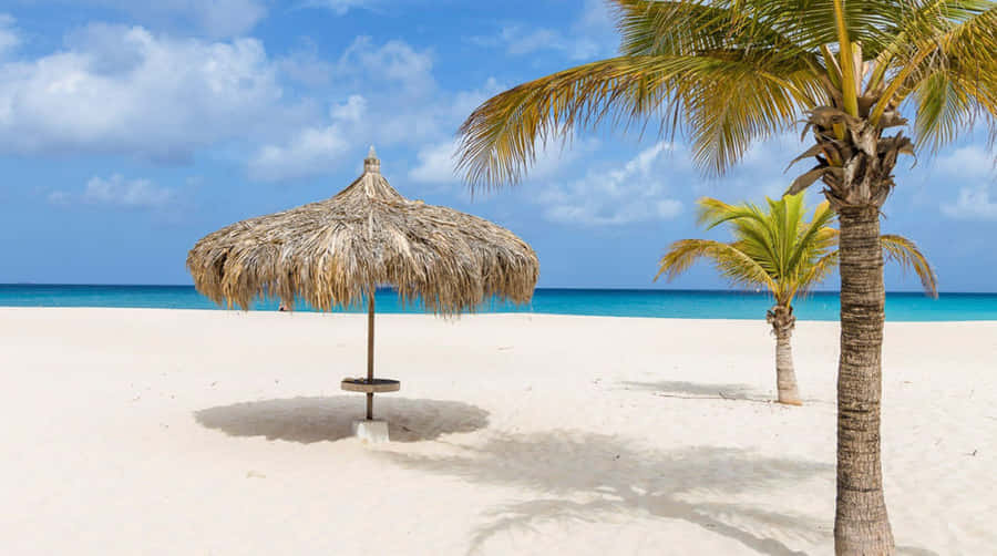Billederaf Aruba Strand, palmetræer og hytter.