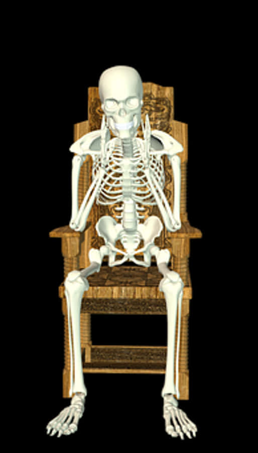 Human Skeleton Seatedon Chair
