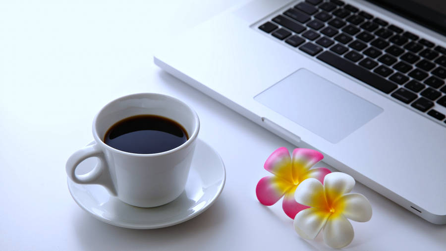 Sort kaffe laptop med frangipani blomster