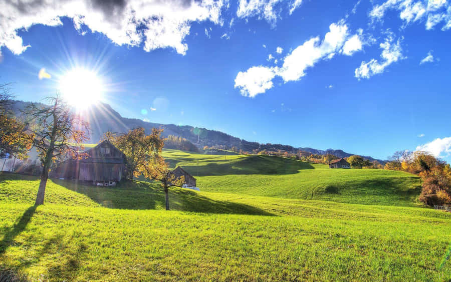Sonniges Bauernhaus Wiesenlandschaft