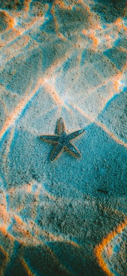 Pretty Ocean