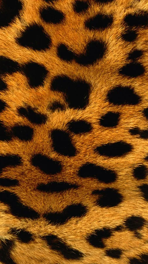 Animal Print