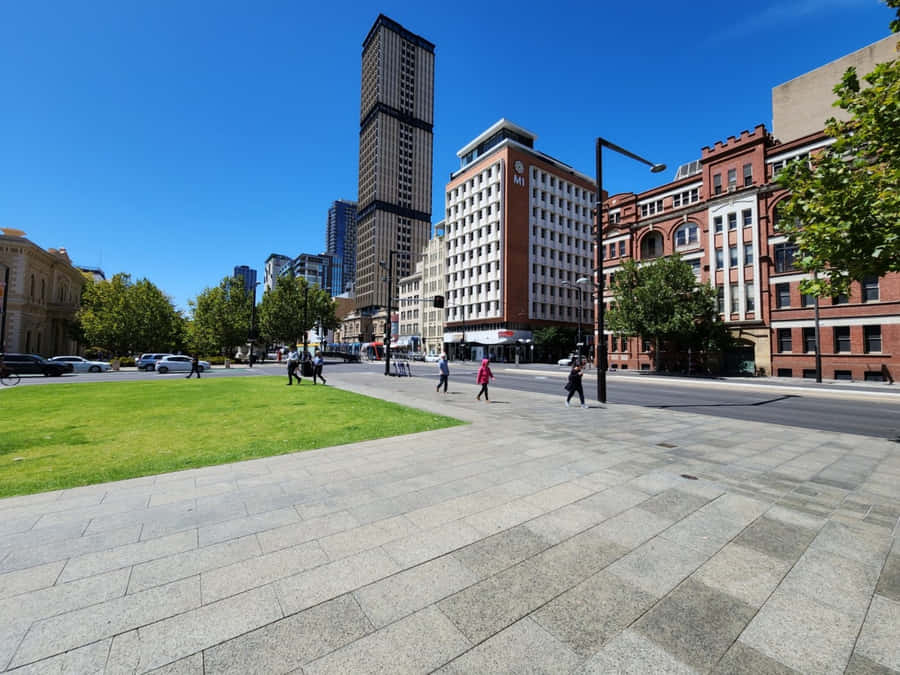 North Terrace Adelaide Urban Landskab