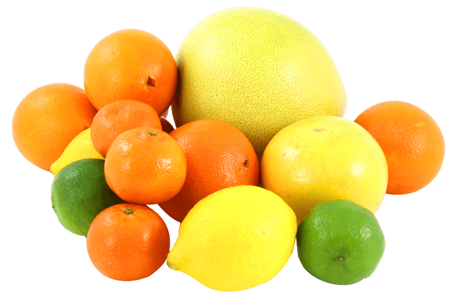 Assorted Citrus Fruits Collection
