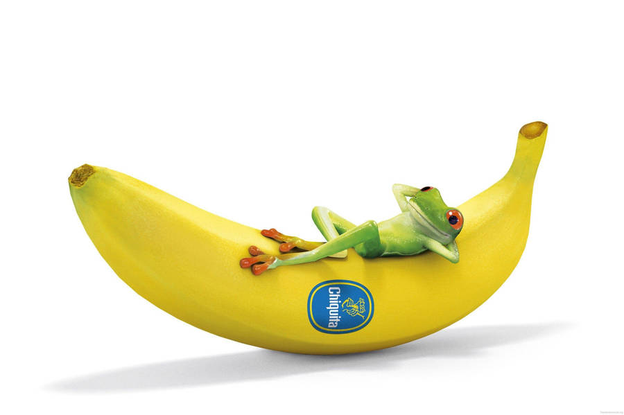Dessins Animés Grenouille Drôle Se Reposant sur une Banane
