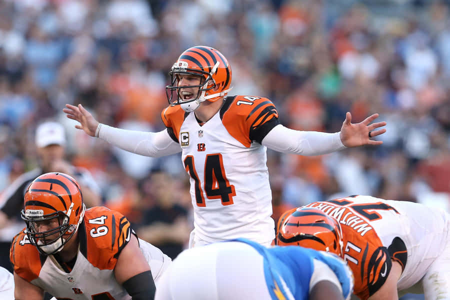 Andy Dalton Quarterback Aktion Cincinnati Bengals