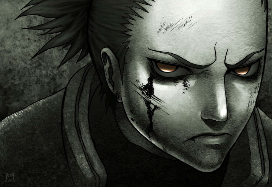 ShikamaruNara 2744 x 1891 Hintergrundbild.