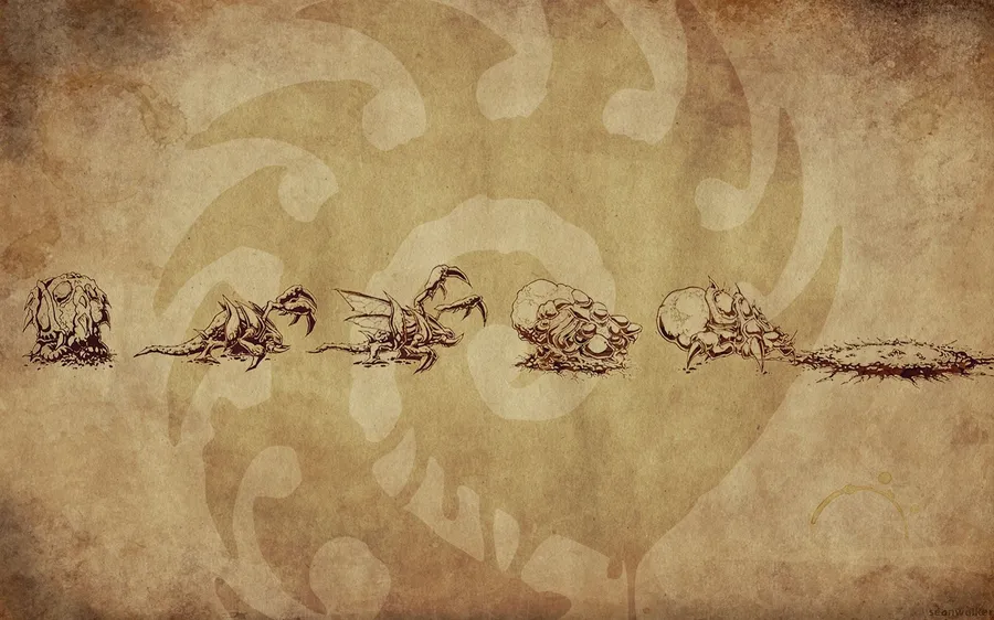 Zerg