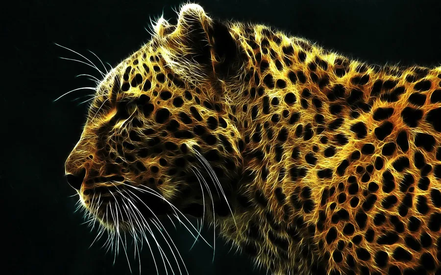 Cheetah background