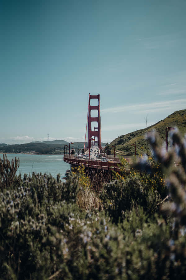 Nyd udsigten til Californiens kystlinje på en Android-telefon.