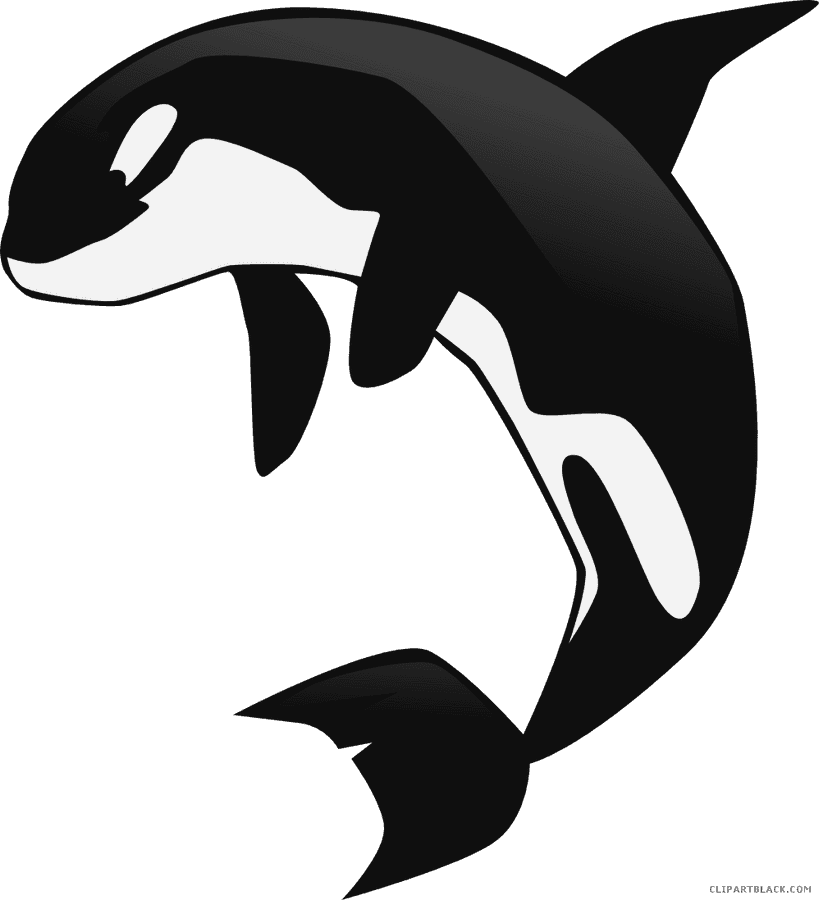 Leaping_ Orca_ Clipart