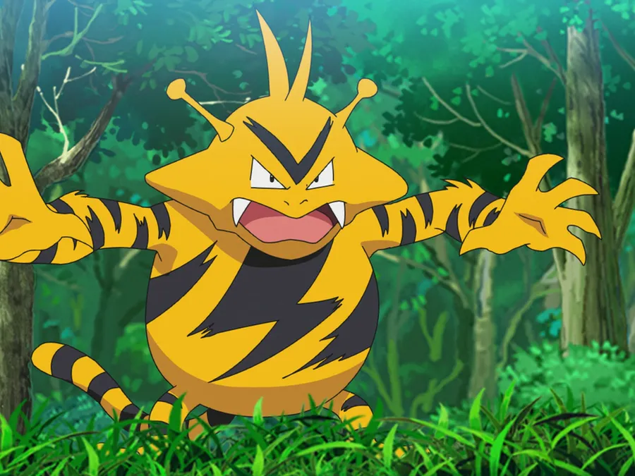 Electabuzz In A Forest