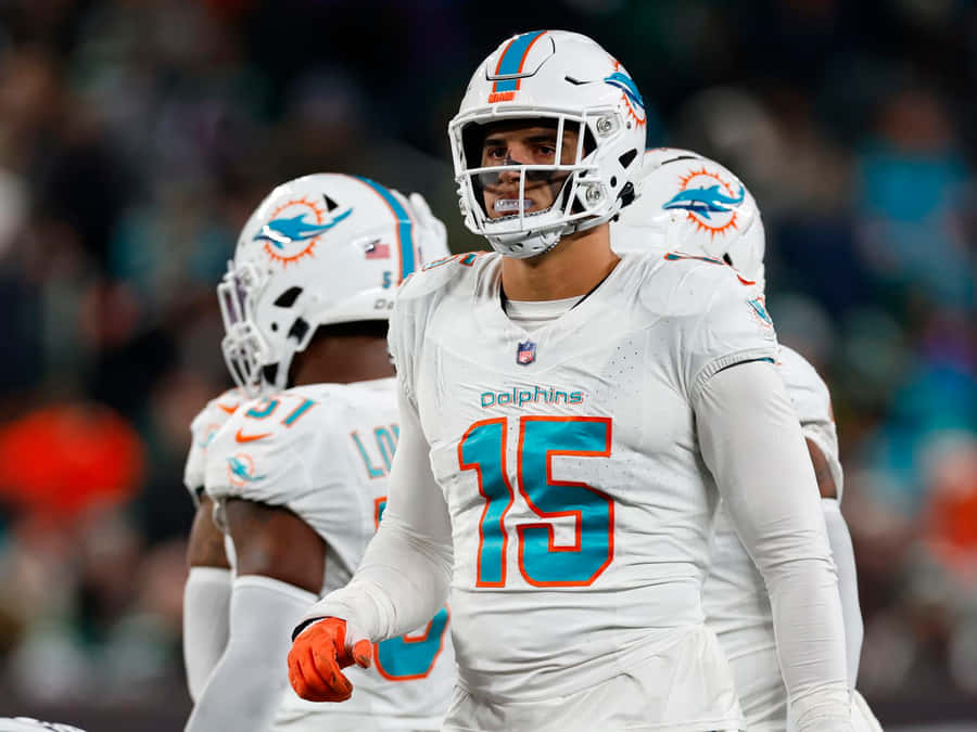 Giocatore dei Miami Dolphins Numero 15