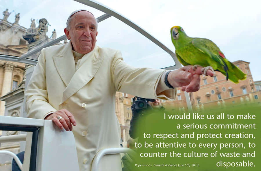 PapaFrancesco.