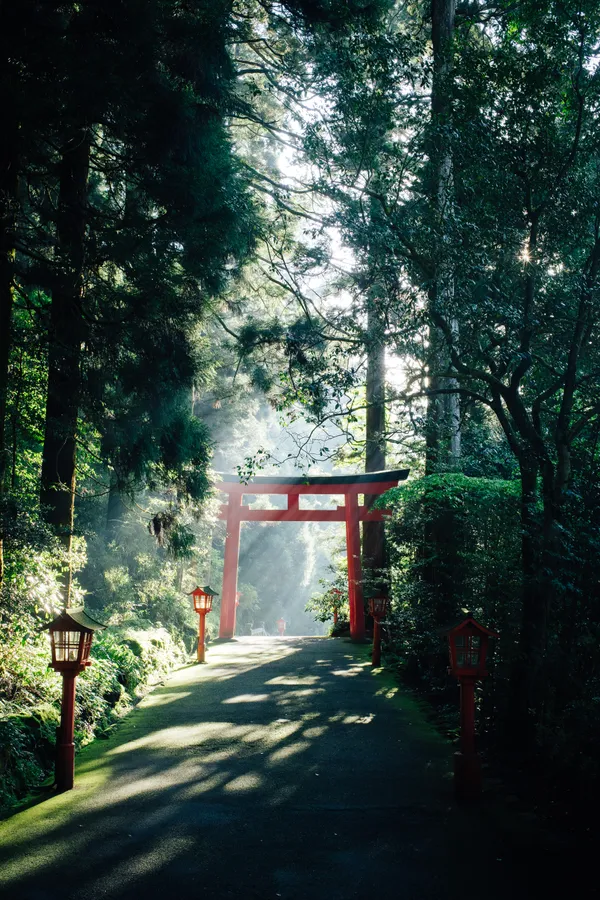 Red Japanese