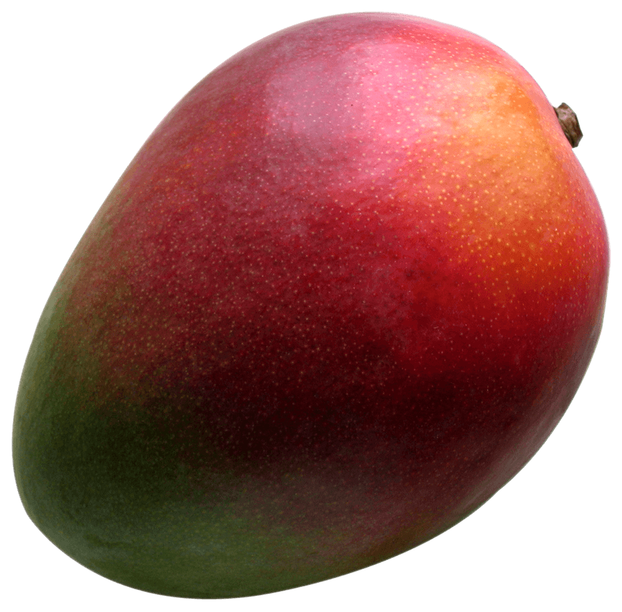 Ripe Mango Fruit Isolated