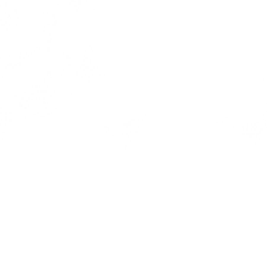 Rustic Lace Border PNG eqi